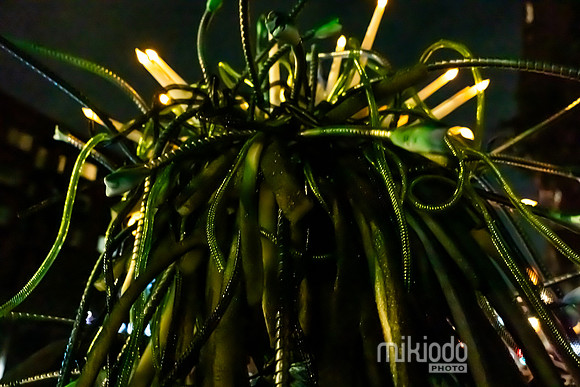 mikiodo241031_04052_LR