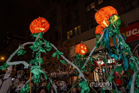 mikiodo231031_02506_LR
