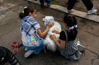 mikiodo250515_1724_LR