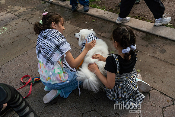 mikiodo250515_1724_LR
