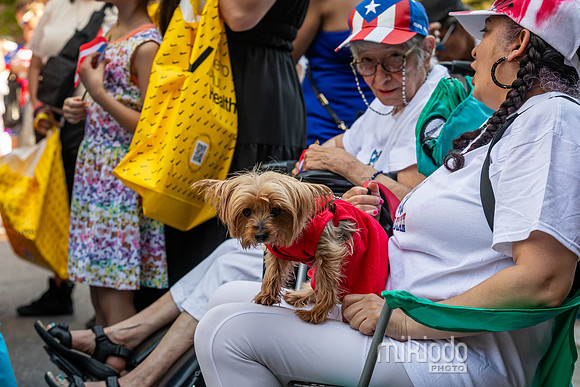 mikiodo240601_1461_LR