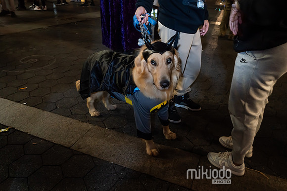 mikiodo231031_03035_LR