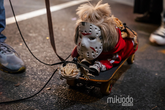 mikiodo241031_03920_LR