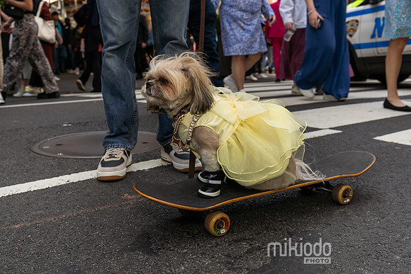 mikiodo250420_03843_LR