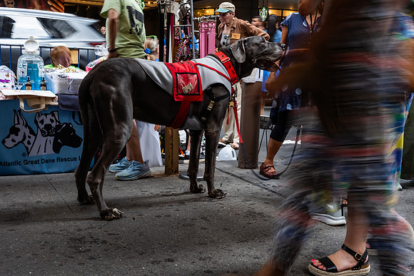 mikiodo240803_05253_LR