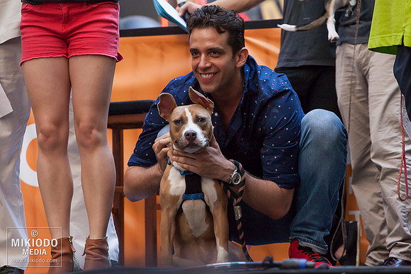 Broadway Barks 2014