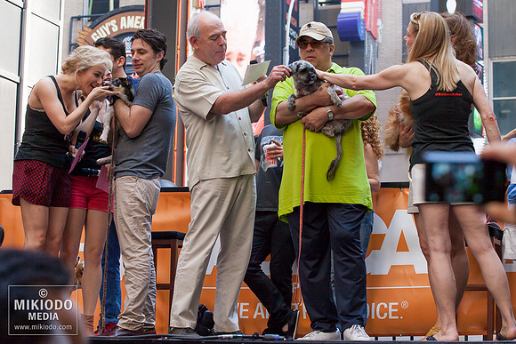 Broadway Barks 2014