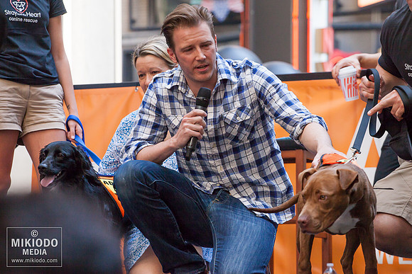 Broadway Barks 2014