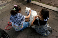 mikiodo250515_1733_LR
