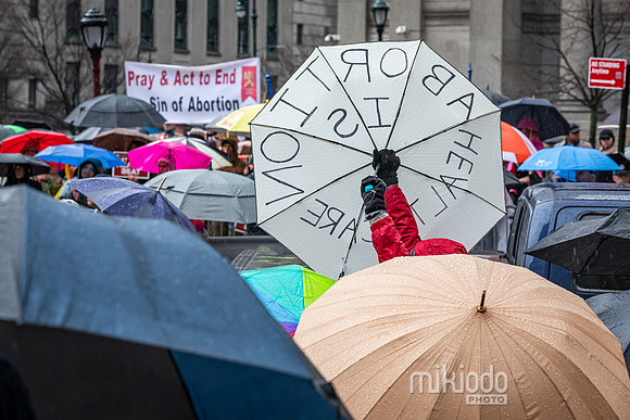 mikiodo240323_1589_LR