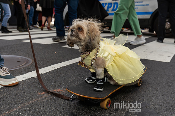 mikiodo250420_03845_LR