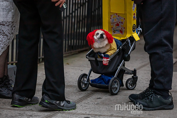 mikiodo231031_7880_LR