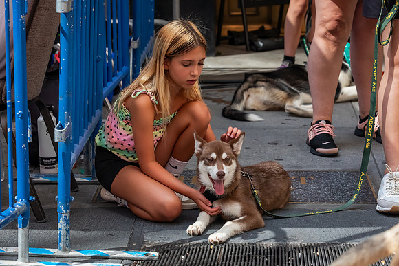 mikiodo240803_8799_LR