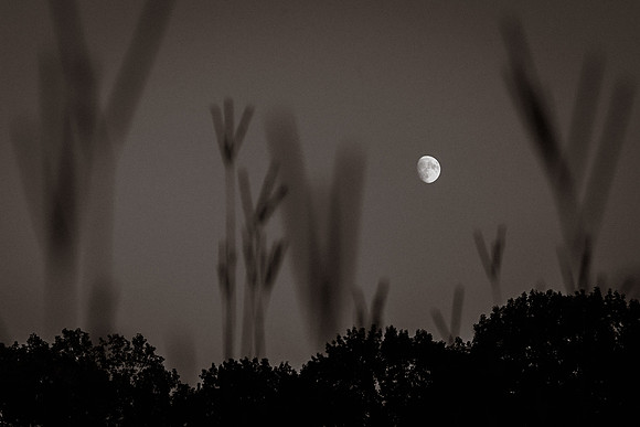 mikiodo230827_0169_LR-2
