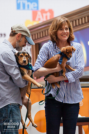 mikiodo130713_bwaybarks_3435_LR