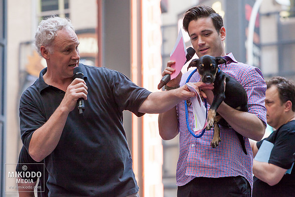 Broadway Barks 2014