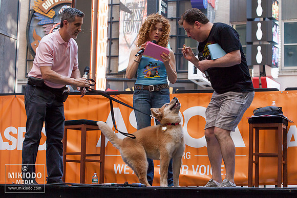 Broadway Barks 2014