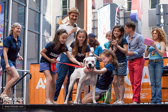Broadway Barks 2014