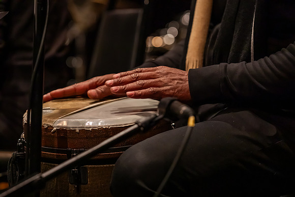 mikiodo250123_3351_LR