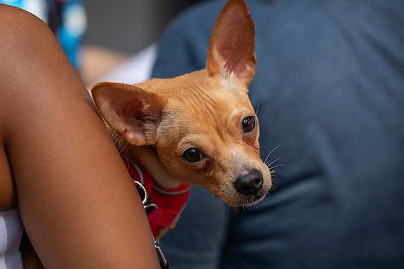 mikiodo240803_8836_LR