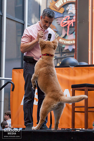 Broadway Barks 2014