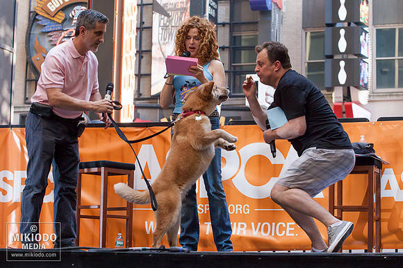Broadway Barks 2014