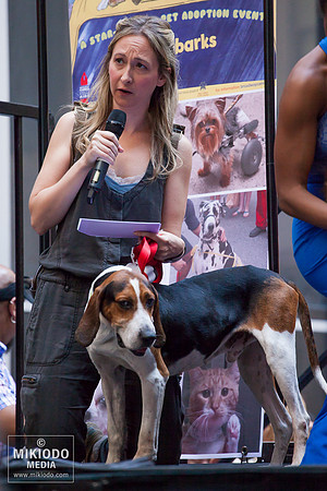 Broadway Barks 2014