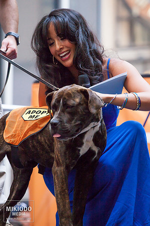 Broadway Barks 2014