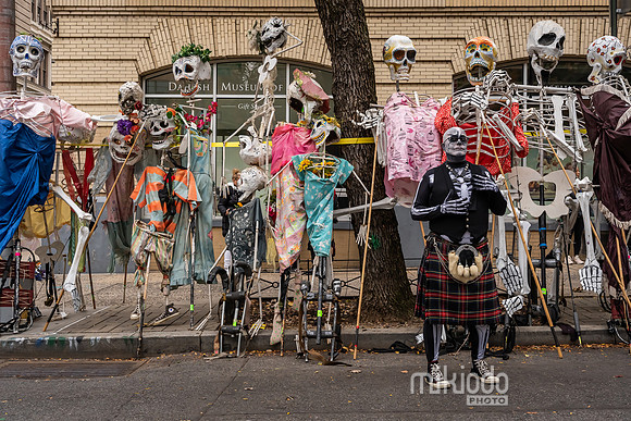 mikiodo231031_02368_LR