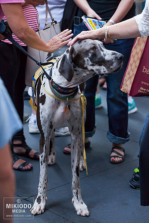 Broadway Barks 2014