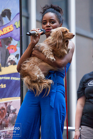 Broadway Barks 2014