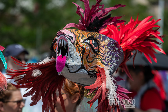 mikiodo240622_3983_LR
