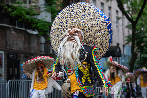 mikiodo240518_0190_LR