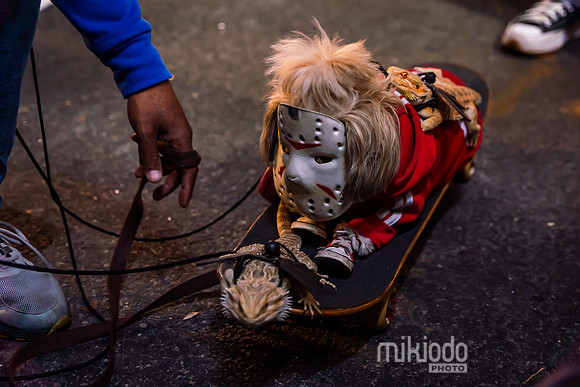 mikiodo241031_03910_LR