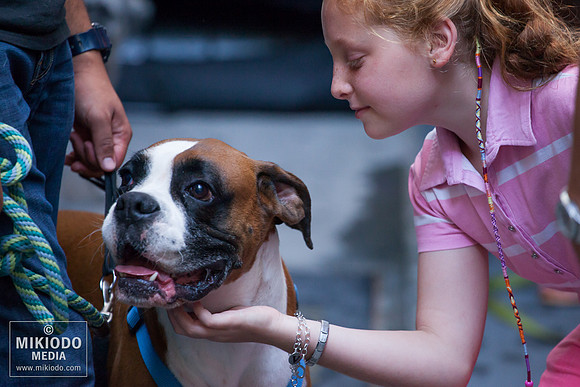 Broadway Barks 2014