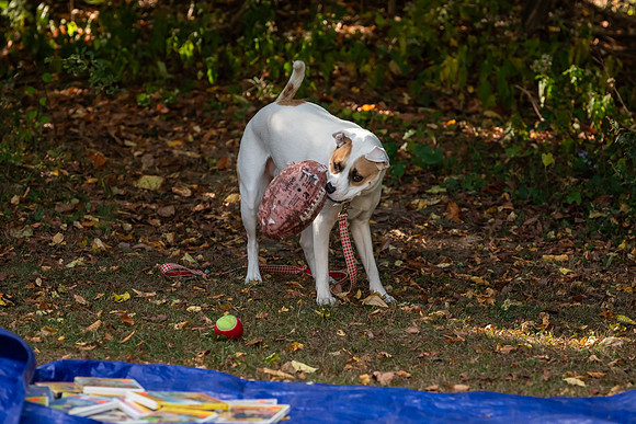 mikiodo241005_3976_LR