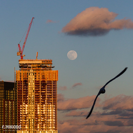 mikiodo190218_moonrise_7786_LR-2