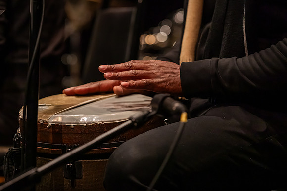 mikiodo250123_3350_LR