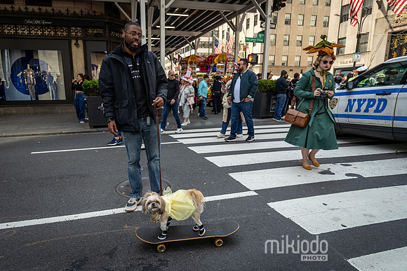 mikiodo250420_03840_LR