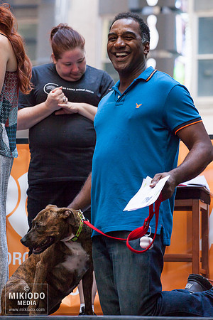 Broadway Barks 2014