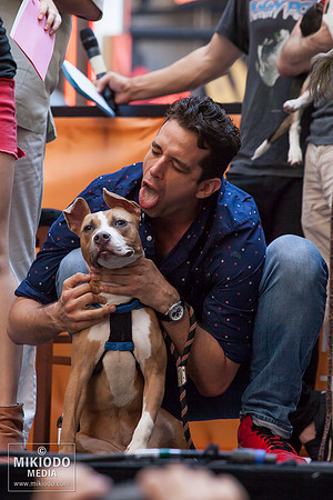 Broadway Barks 2014