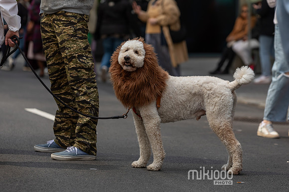 mikiodo250420_5050_LR