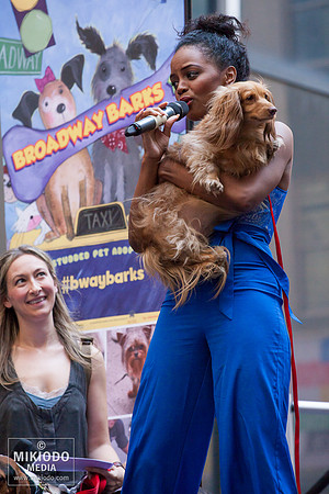 Broadway Barks 2014