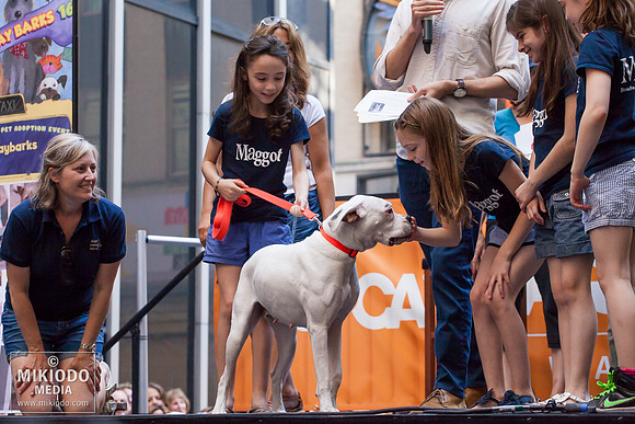 Broadway Barks 2014