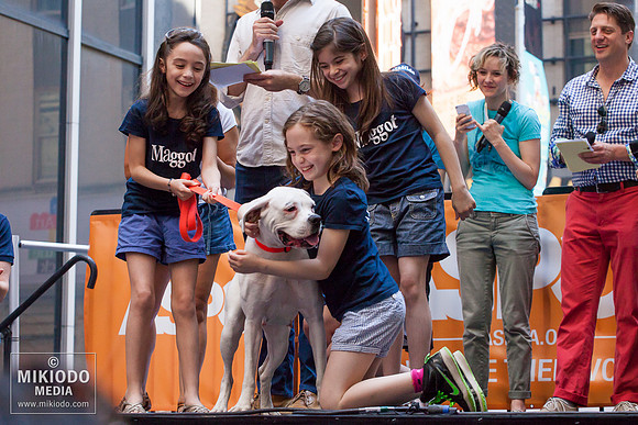 Broadway Barks 2014