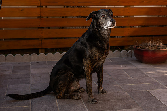 mikiodo250310_05323_LR