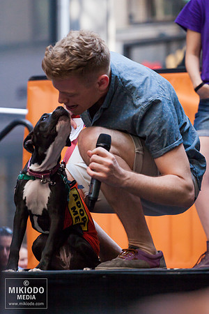 Broadway Barks 2014