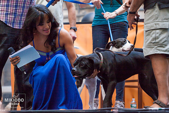 Broadway Barks 2014