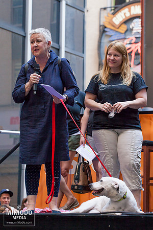 Broadway Barks 2014